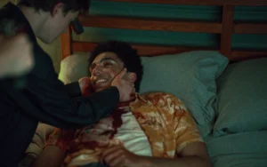 radleys_stills (23)