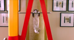 nineLives_stills (26)