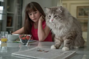 nineLives_stills (44)