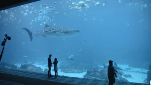 BeyondAfter_Stills_41