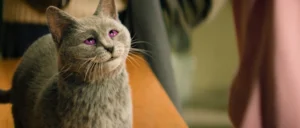 SchoolOfMagicalAnimals_still (15)